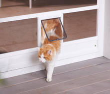 Fliegengitter-Katzenklappe