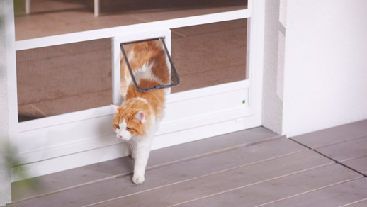 Katzentür aus Fliegengitter